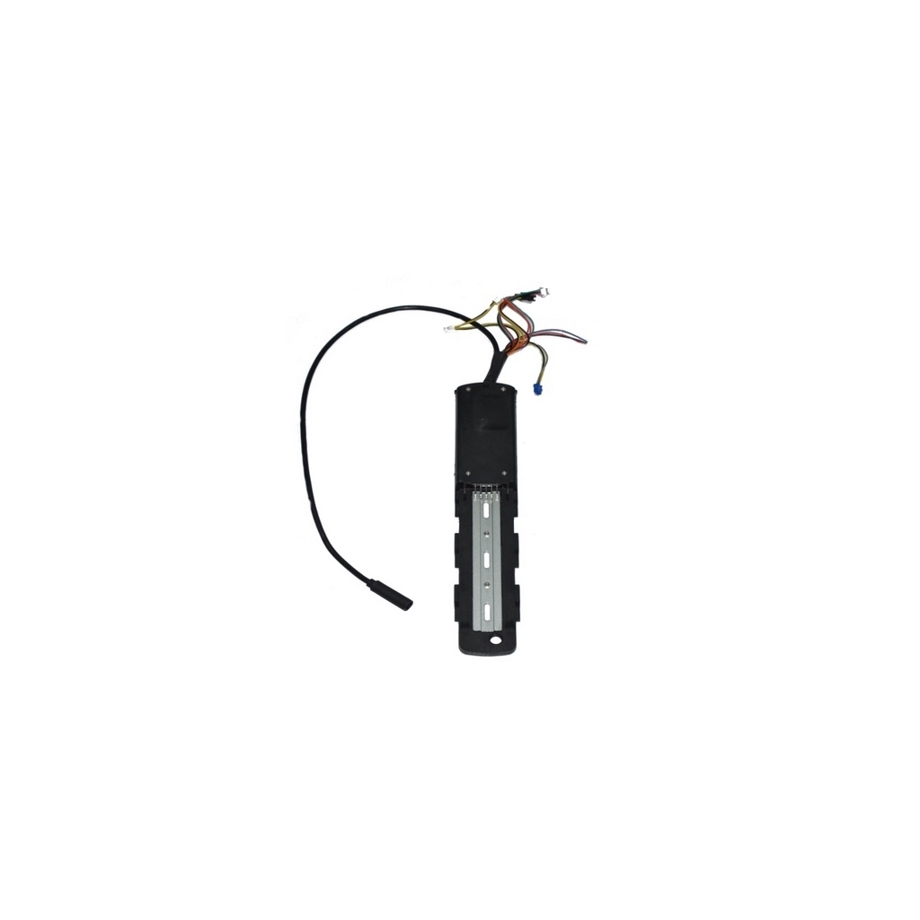 RKS CD15 BEYİN #RK 25048